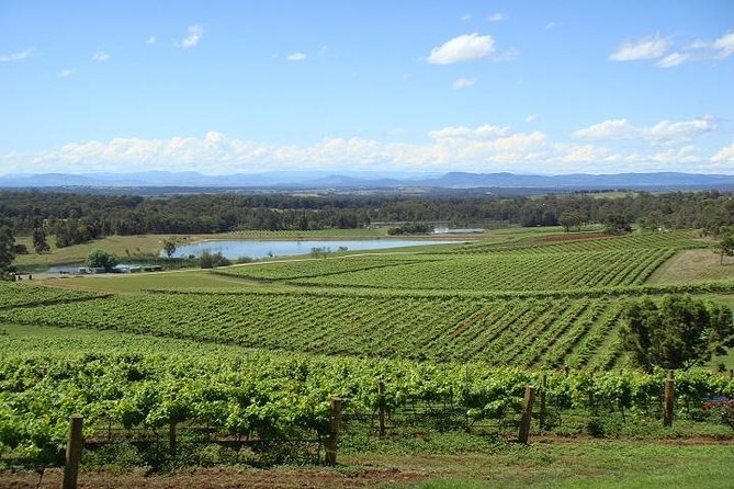 Private Hunter Valley Wine-Tasting Day Tour From Sydney - Key Points