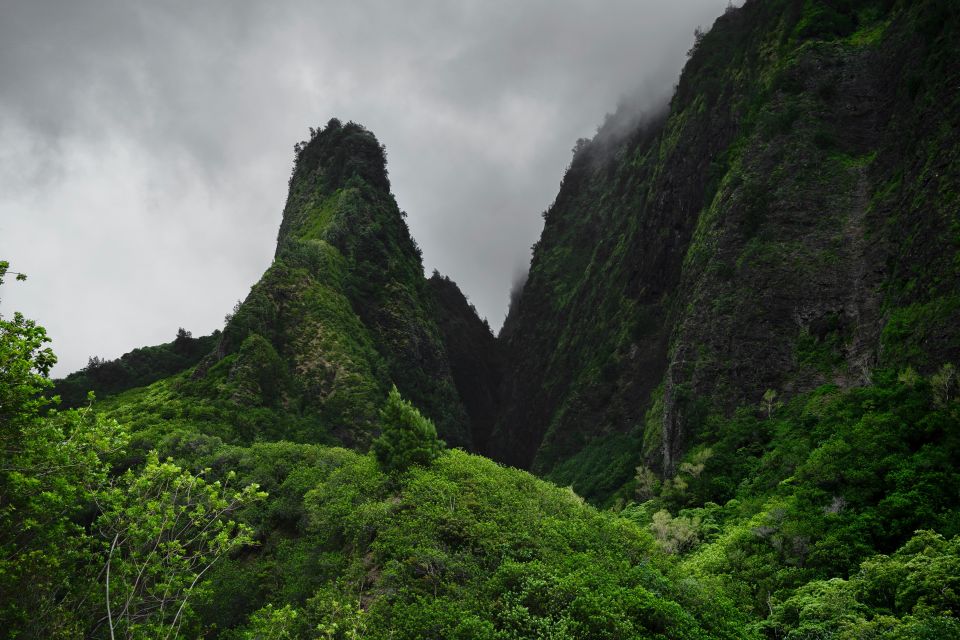 Private Iao Valley/Upcountry VIP Farm Tour- Full Day - Key Points