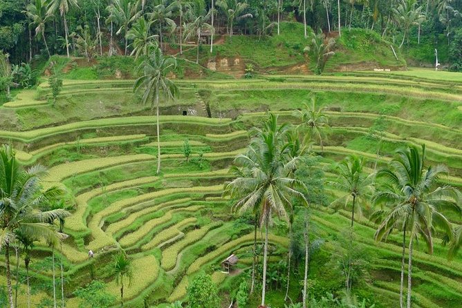 Private Inclusive Tours: 2 Days Highlight of Bali