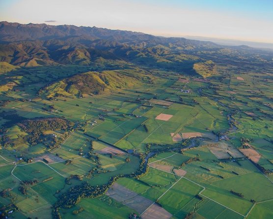 Private Martinborough Wine Tour in an Electric Vehicle - Tesla Model Y - Key Points