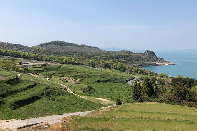 Private Scenic Cycling in Teshima Island Includes Teshima Museum - Key Points