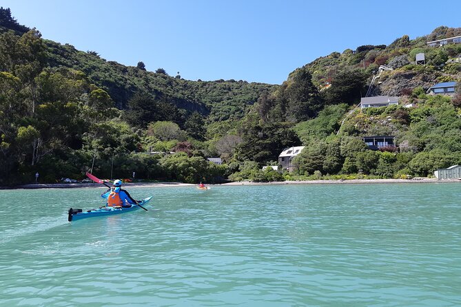 Private Sea Kayaking Tour From Christchurch/Lyttleton - Key Points