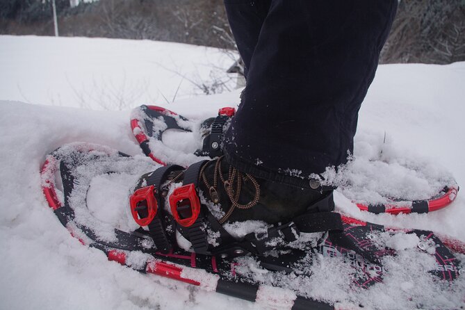 Private Snowshoeing Tour in Hida - Key Points