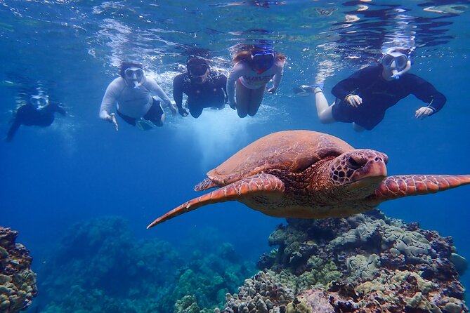 Private South Maui Turtle Town Snorkeling and Kayaking Tour - Key Points