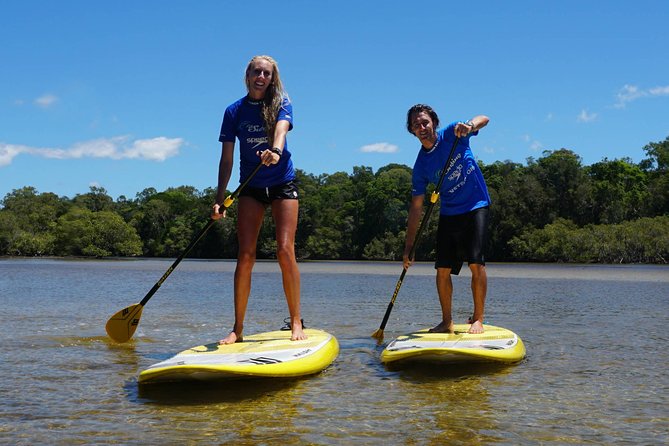 Private Stand Up Paddle Boarding Tours Byron Bay - Key Points
