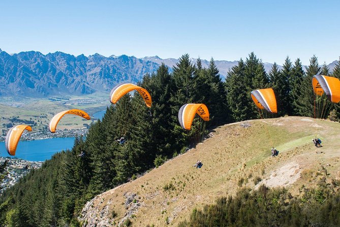 Private Tandem Paraglide Adventure in Queenstown - Key Points