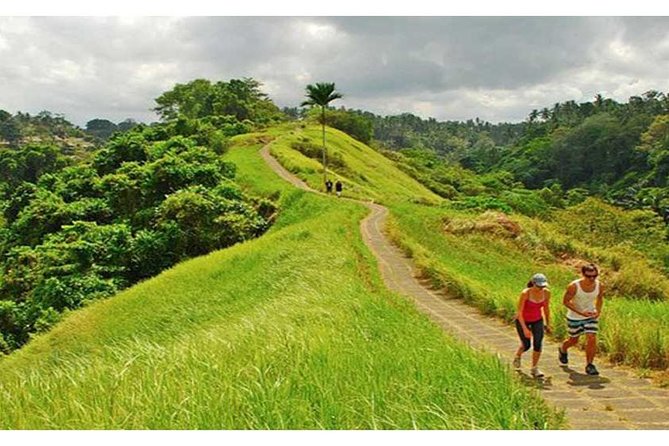 Private Tour: Campuhan Ridge Walk, Ubud Rice Terrace & Ubud Palace - Key Points