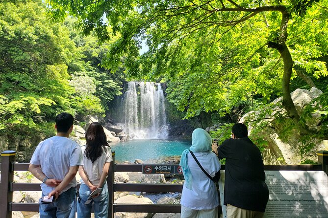 Private Tour Cheonjeyeon Falls & Osulloc Museum in Jeju Island - Key Points