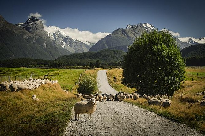 Private Tour Full Day Queenstown and Southern Lakes Photography Tour - Key Points