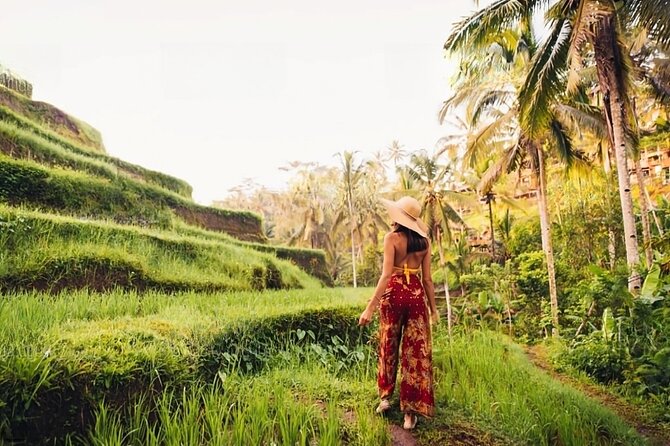 Private Tour Ubud: Swing at Rice Field With Temple and Waterfall - Tour Highlights