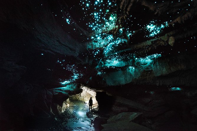 Private Waitomo Glowworm Cave Tours - Key Points
