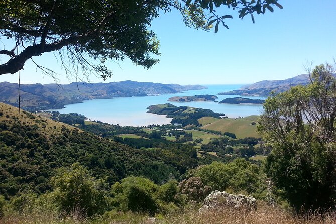 Private Walking Tour - Packhorse Hut From Christchurch - Key Points