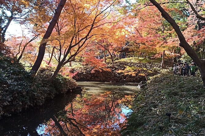 Private Walking Tour, Tokyo Great Buddha, Botanical Garden, Etc. - Key Points