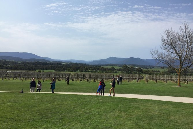 Private Yarra Valley Wine Tour - Key Points