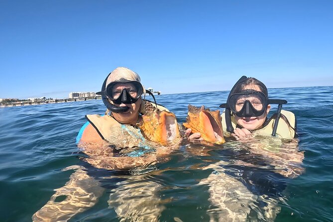 Public Guided Snorkel Tour of Fort Lauderdale Reefs - Key Points