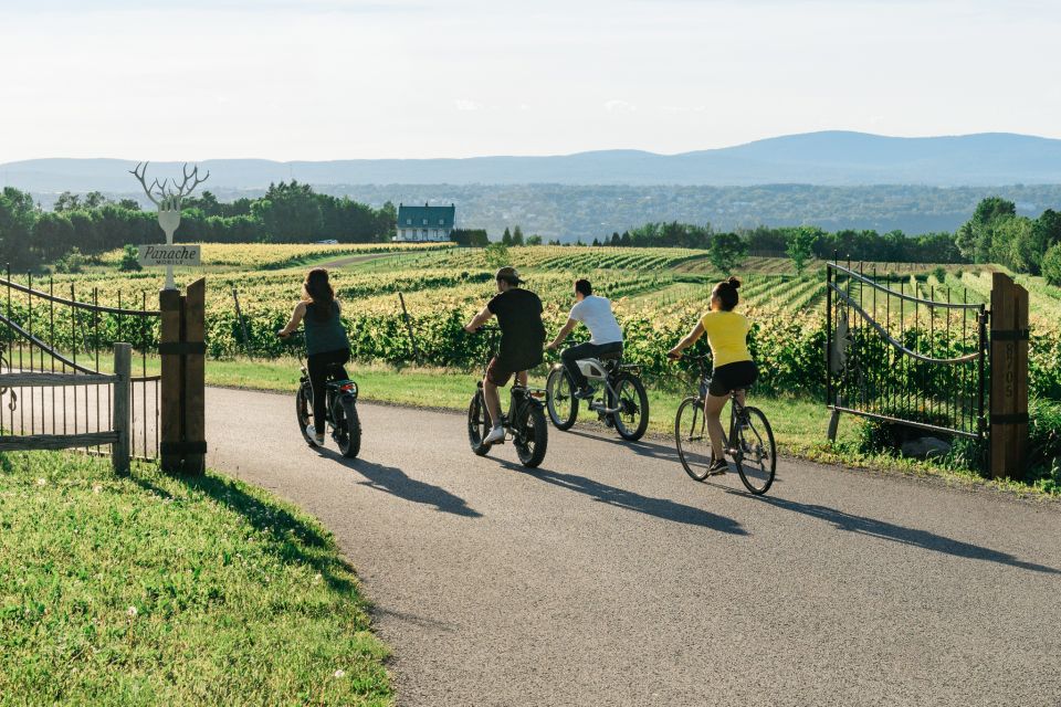 Quebec City: Ile D'orléans Guided E-Bike Tour With Tastings - Key Points