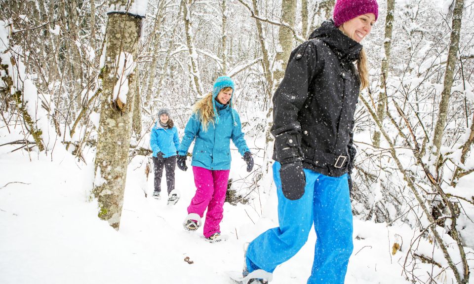 Quebec City: Jacques-Cartier National Park Snowshoeing Tour - Key Points