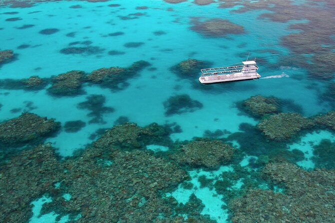 Quicksilver Outer Great Barrier Reef Snorkel Cruise From Palm Cove