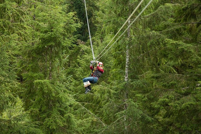Rainforest Zip, Skybridge & Rappel Adventure in Ketchikan, AK - Key Points