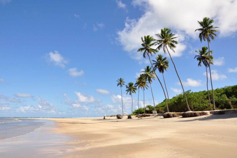 Recife: Tour to Porto De Galinhas - Key Points