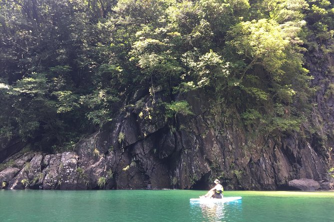 [Recommended on Arrival Date or Before Leaving! ] Relaxing and Relaxing Water Walk Awakawa River SUP - Key Points