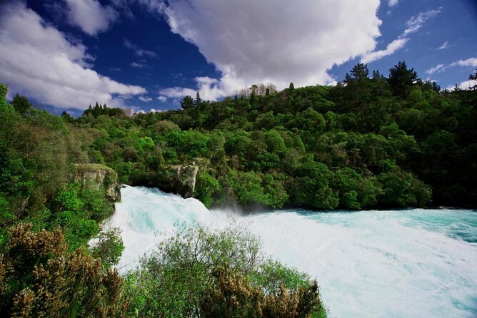 Redwood Forest , Blue Springs & Huka Falls Day Tour From Auckland - Key Points