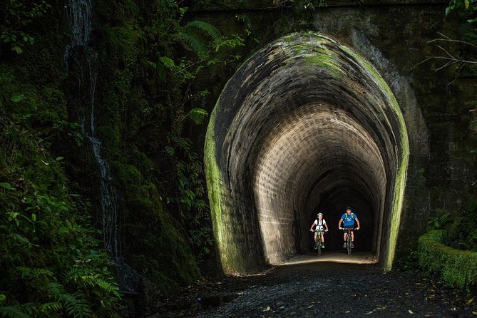 Remutaka Rail Trail Mountain Bike Explorer Cycle Tour - Key Points