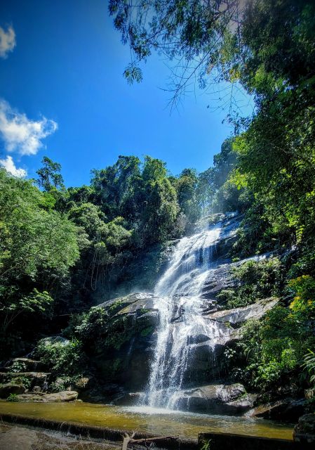 Rio De Janeiro: Tijuca Forest Challenge Hike Full-Day Trip - Key Points