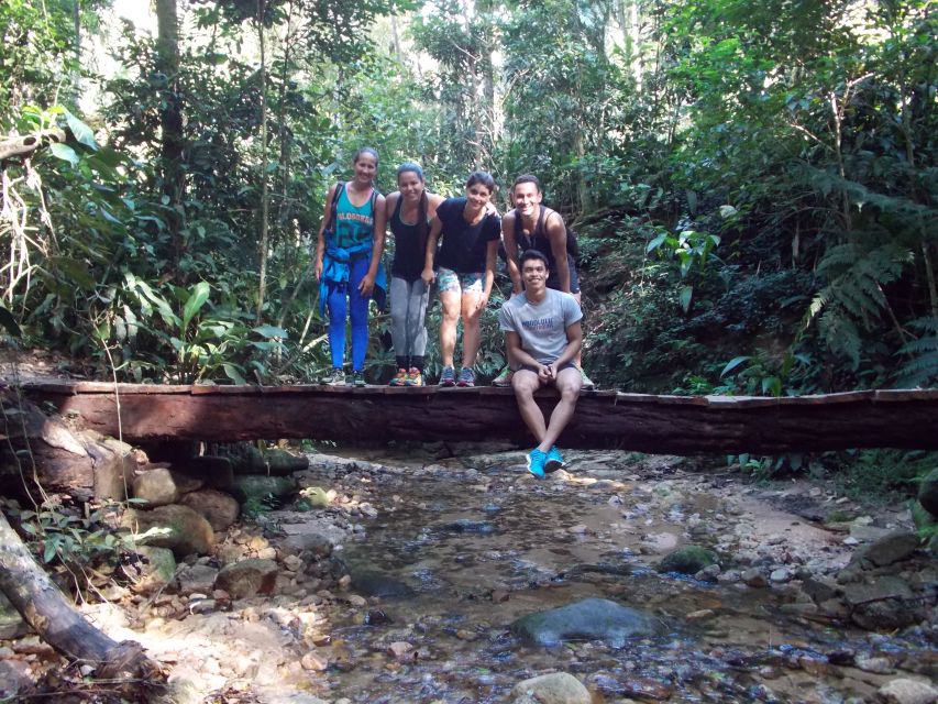 Rio: Tijuca Forest Historical Hike & Cachoeira Das Almas - Key Points