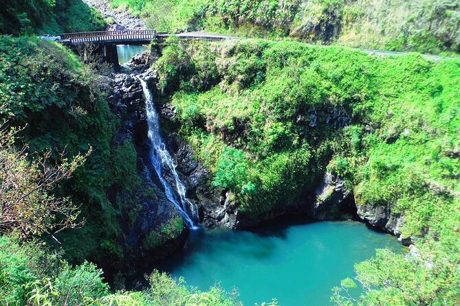 Road to Hana Private Jungle Tour - Private Guide Experience