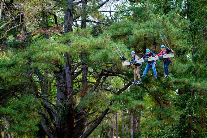 Rock Climb, Zipline and Mega Swing Experience - Key Points