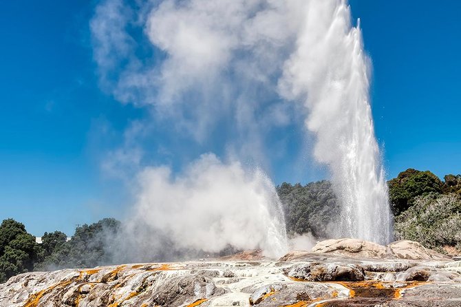Rotorua Highlights Small Group Tour Including Te Puia From Auckland - Key Points