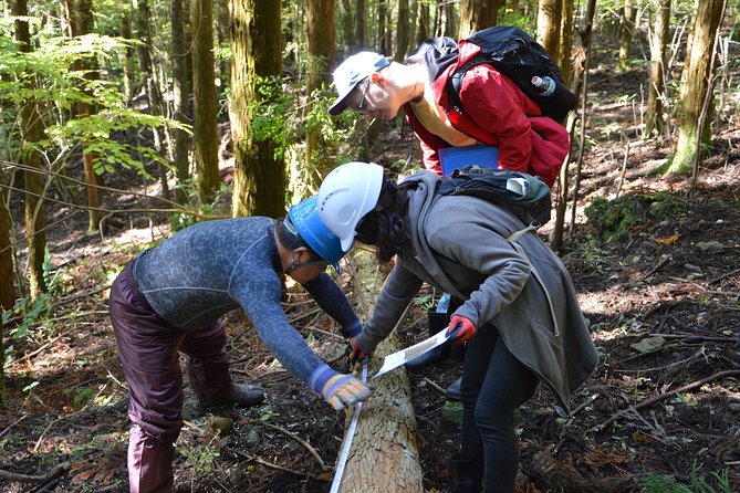 Rural Forestry Tour in Aso Minamioguni - Key Points