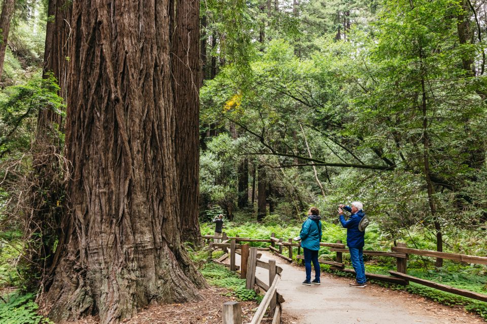 San Francisco: Muir Woods, Napa & Sonoma Valley Wine Tour - Key Points