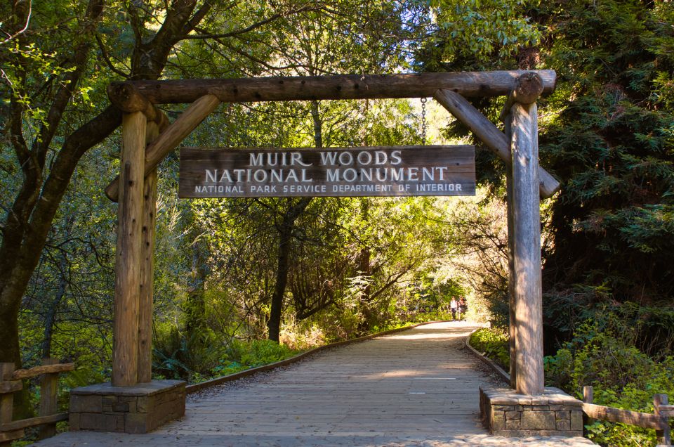 San Francisco: Private Muir Woods, Sausalito Half-Day Trip - Key Points
