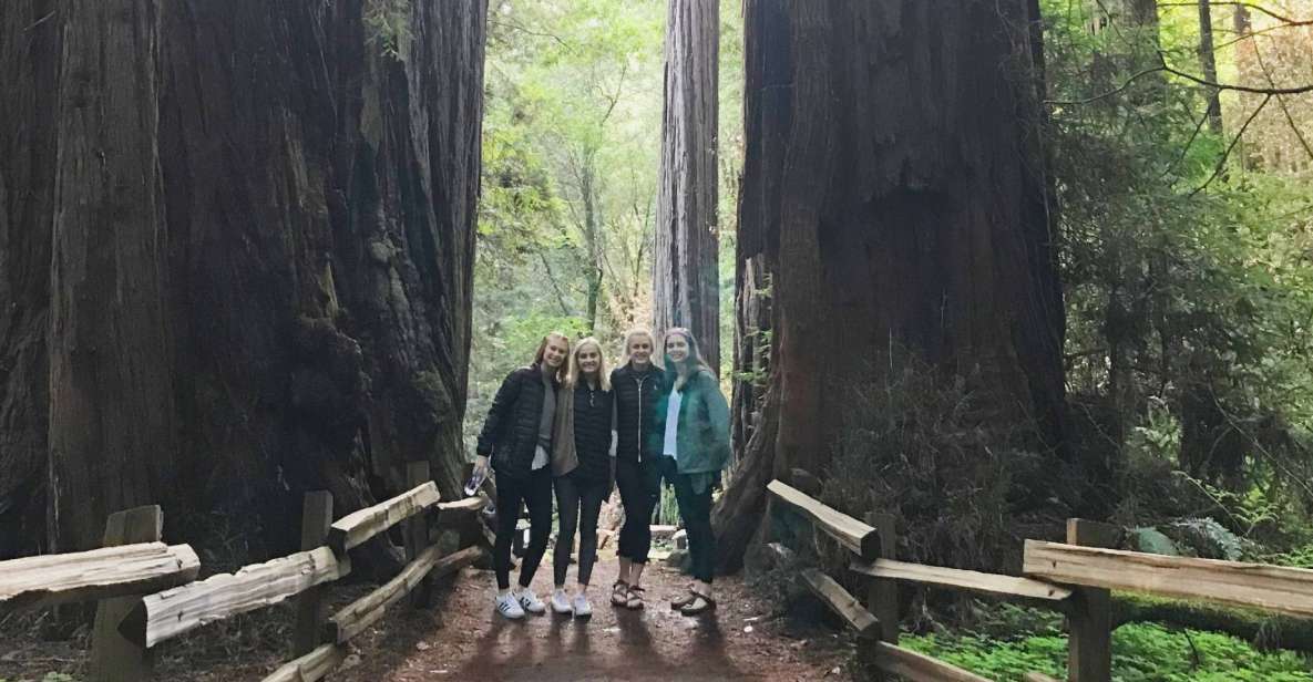 San Francisco Tour to Muir Woods Giant Redwoods & Sausalito - Key Points