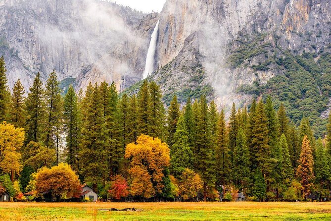 San Francisco: Yosemite National Park and Giant Sequoia Day Tour - Key Points