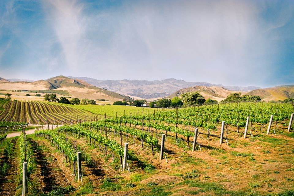 Santa Barbara: Wine Country Tour With Lunch - Key Points
