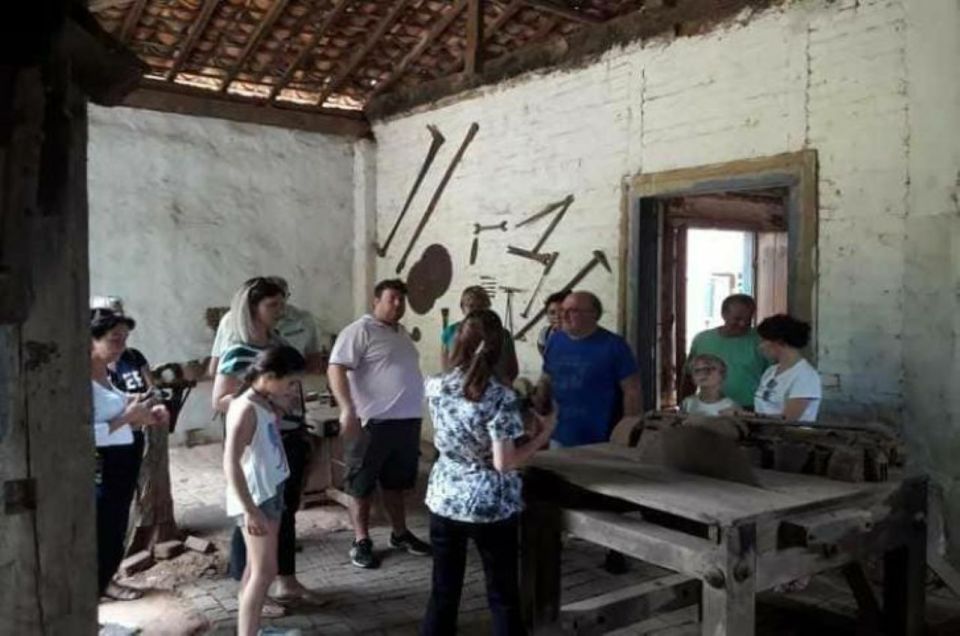 São Paulo: Coffee & Cheese Farm Tour With Breakfast & Lunch - Key Points