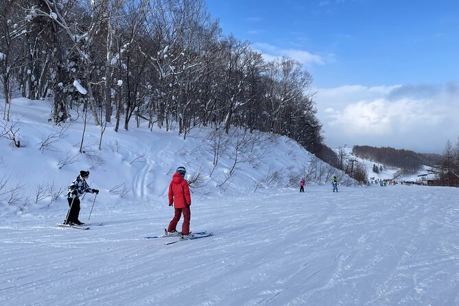 Sapporo Private Ski/ Snowboard Lesson With Pick-Up Service - Key Points