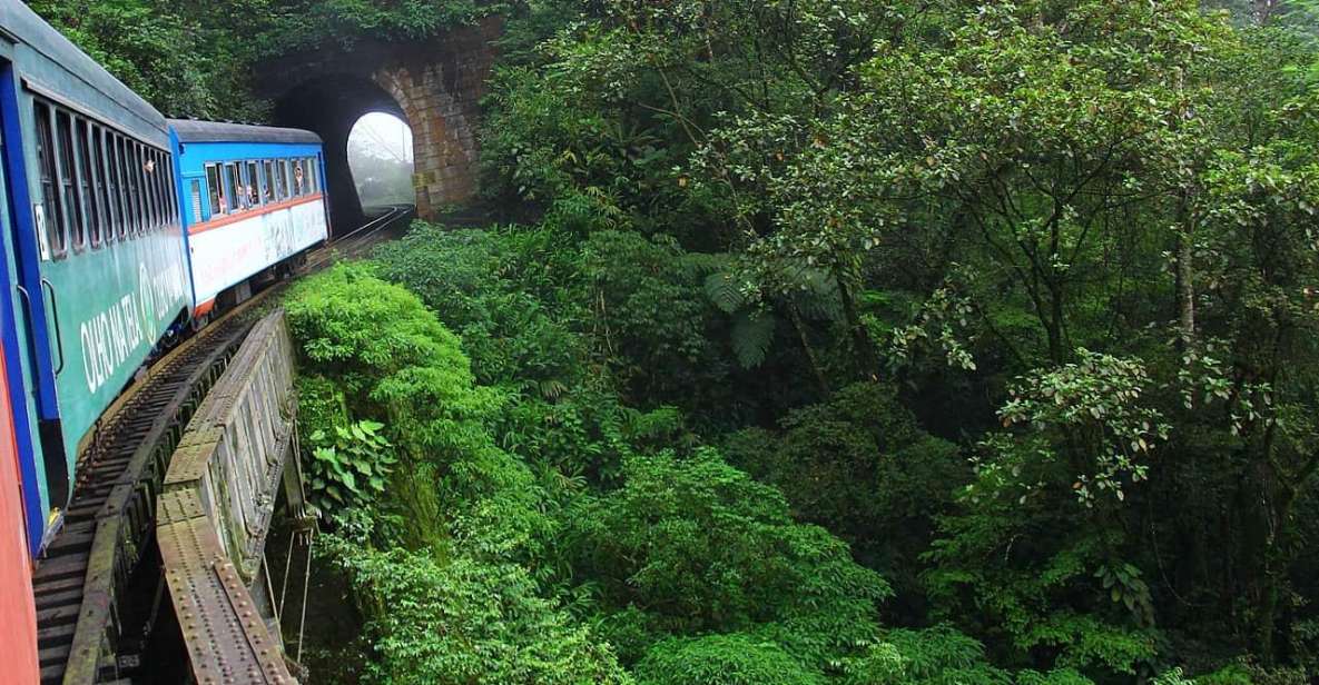 Scenic Rails: Curitiba to Morretes Adventure by Train - Key Points