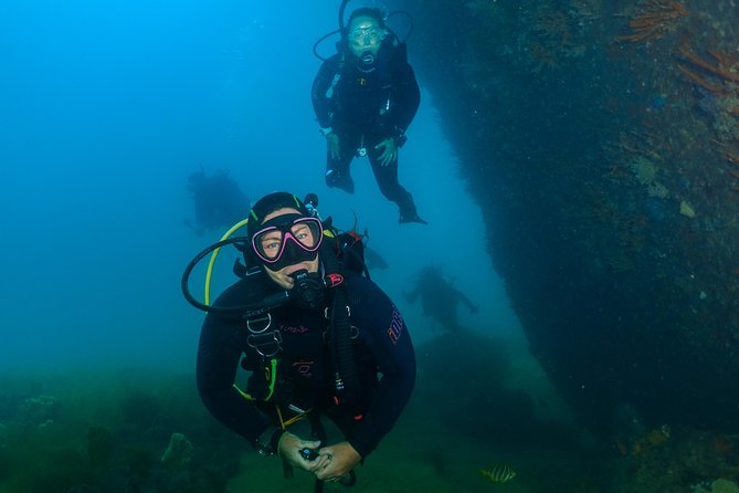 Scuba Dive The Beautiful Rottnest Island - Key Points