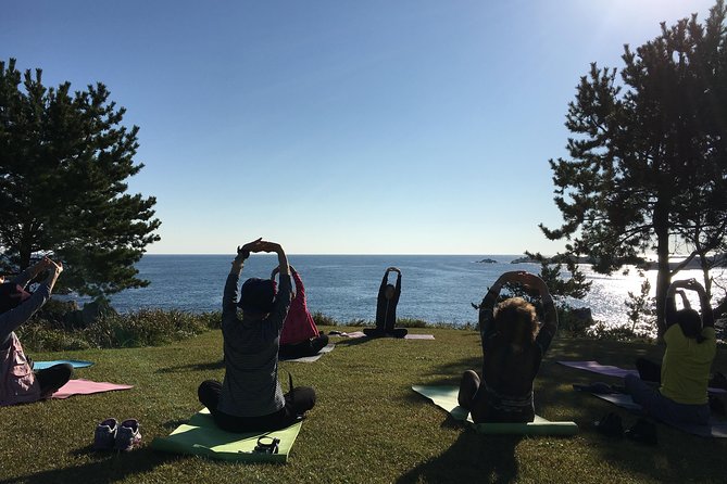 Sea Breeze Yoga and Breakfast at Tanesashi Kaigan Natural Grass Fabric - Key Points