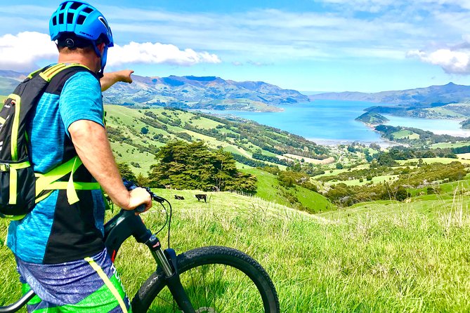 Sea to Summit- Electric Mountain Biking Tour in Akaroa - Key Points