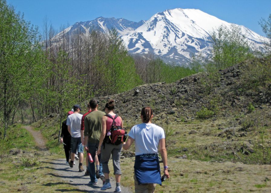 Seattle: Mt. St. Helens National Monument Small Group Tour - Key Points