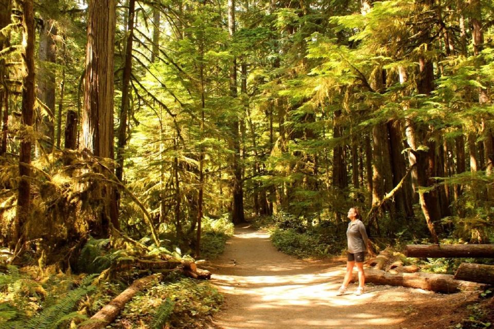 Seattle: Olympic National Park Small-Group Tour - Tour Details