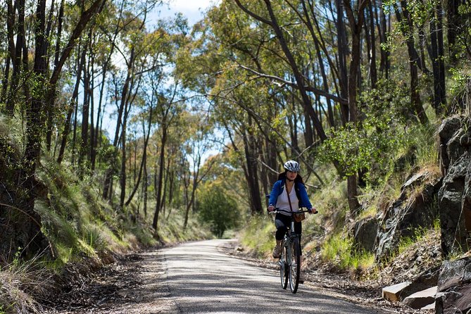 Self-Guided Gourmet Culinary Cycling Day Tour From Beechworth - Key Points