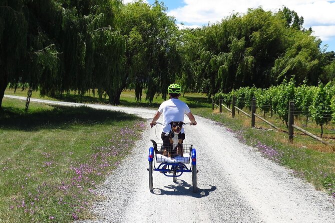 Self-Guided Wine Tours by Bike With Steve & Jo in Marlborough - Key Points