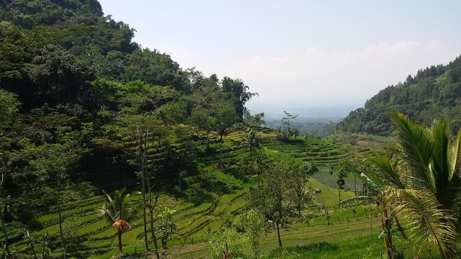 Selogriyo Temple and Trekking Java Rice Terraces, Hidden Waterfall -Nature Java - Key Points