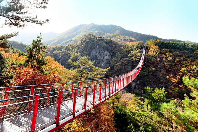 Seoul: South Korea DMZ, Mt. Gamak & Fall Foliage With Lunch - Key Points